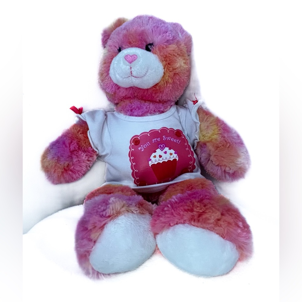 Build‎ A Bear Rainbow Bear Tie dye "You Are Sweet" Shirt  17"